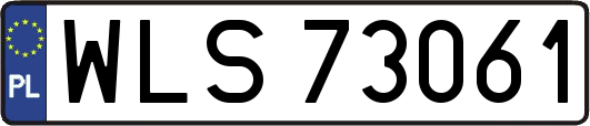 WLS73061