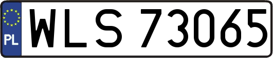 WLS73065