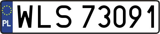 WLS73091