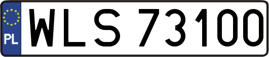 WLS73100