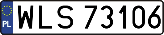 WLS73106