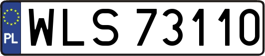 WLS73110