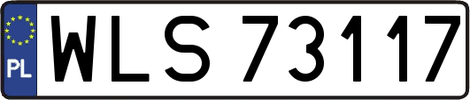 WLS73117