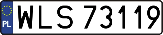 WLS73119