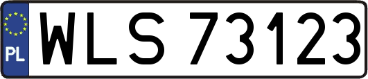 WLS73123