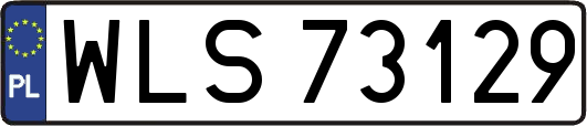 WLS73129