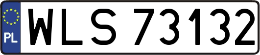 WLS73132