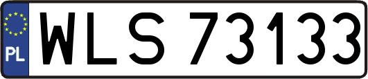 WLS73133