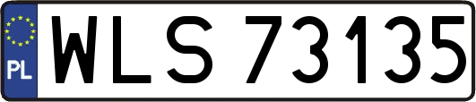WLS73135