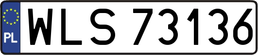 WLS73136