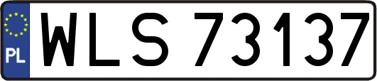 WLS73137