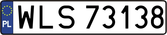 WLS73138