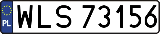 WLS73156