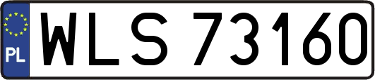 WLS73160