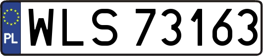 WLS73163