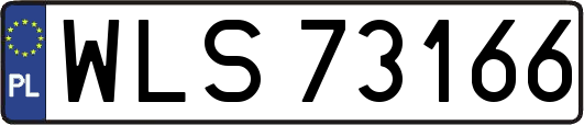 WLS73166