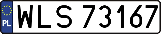 WLS73167