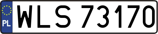 WLS73170