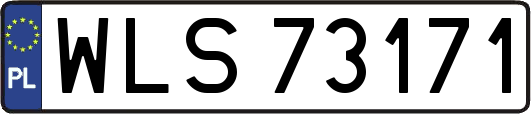 WLS73171