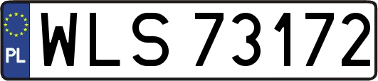 WLS73172