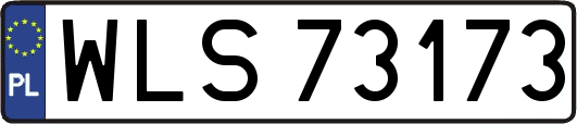 WLS73173