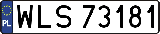 WLS73181