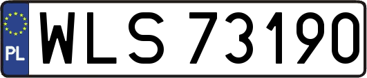 WLS73190