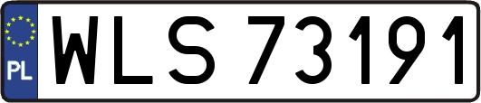WLS73191
