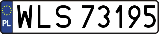WLS73195