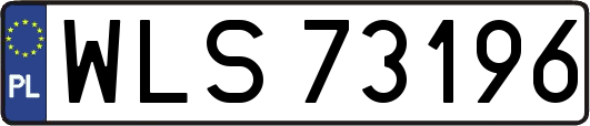 WLS73196