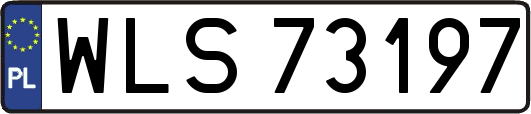 WLS73197