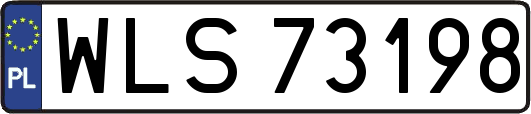 WLS73198