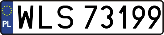 WLS73199