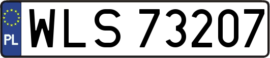 WLS73207