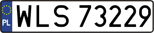 WLS73229