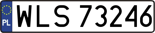 WLS73246