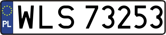 WLS73253