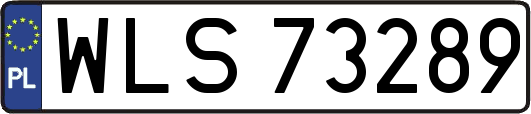 WLS73289