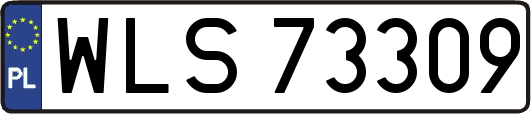 WLS73309