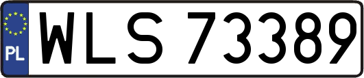 WLS73389