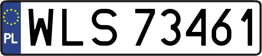 WLS73461