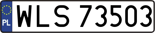 WLS73503