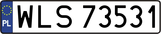 WLS73531