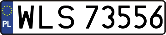 WLS73556
