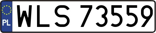 WLS73559