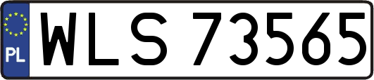WLS73565