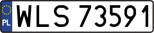 WLS73591