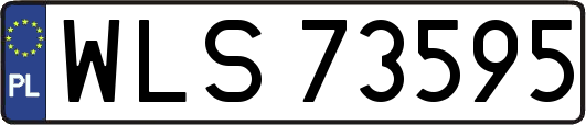 WLS73595