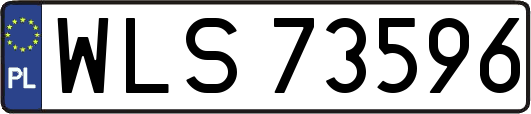 WLS73596