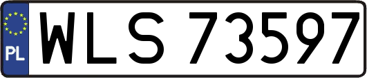 WLS73597